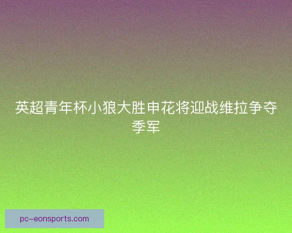 英超青年杯小狼大胜申花将迎战维拉争夺季军
